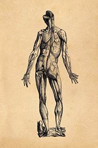 Anatomy Notebook