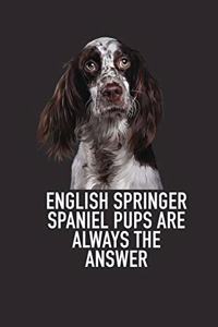 English Springer Spaniel Pups Are Always the Answer