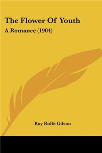 Flower Of Youth: A Romance (1904)