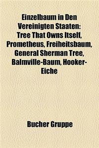Einzelbaum in Den Vereinigten Staaten