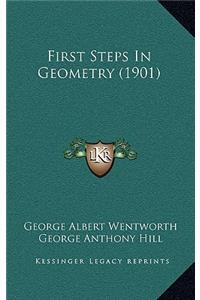 First Steps in Geometry (1901)