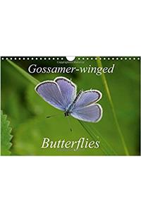 Gossamer-Winged Butterflies 2018