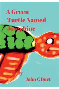 A Green Turtle Named Josephine.