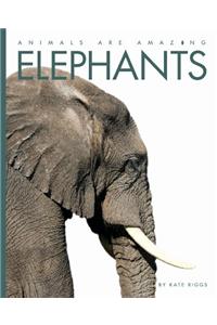 Elephants