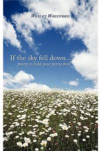 If the sky fell down...