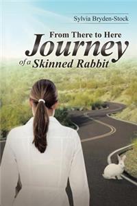 From There to Here-Journey of a Skinned Rabbit