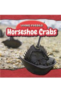 Horseshoe Crabs