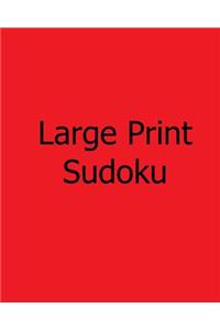 Large Print Sudoku
