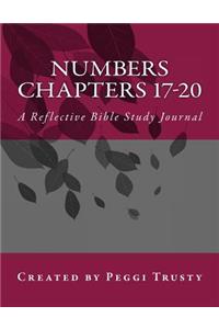 Numbers, Chapters 17-20