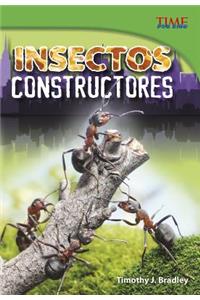 Insectos Constructores