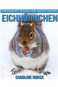 Eichhörnchen