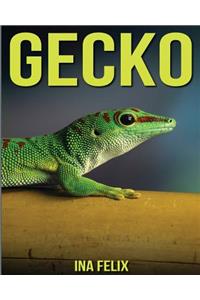 Gecko