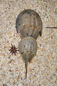 Horseshoe Crab Journal