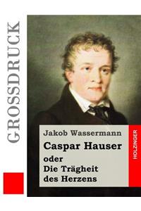 Caspar Hauser oder Die Trägheit des Herzens (Großdruck)