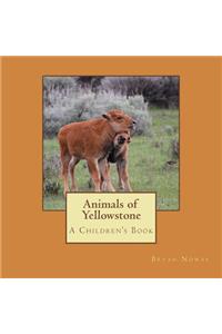 Animals of Yellowstone