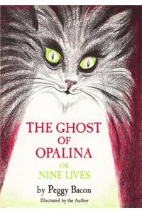 The Ghost of Opalina