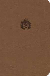 Ara a Bíblia de Estudo Da Fé Reformada, Capa Luxo, Marrom, Estojo, Portuguese Edition