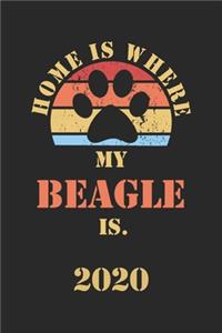 Beagle 2020