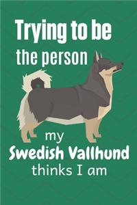 Trying to be the person my Swedish Vallhund thinks I am