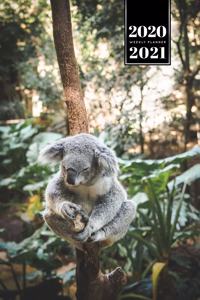 Koala Bear Rainforest Week Planner Weekly Organizer Calendar 2020 / 2021 - Just Thinking