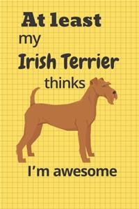 At least My Irish Terrier thinks I'm awesome