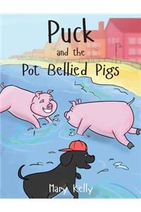 Puck and the Pot Bellied Pigs