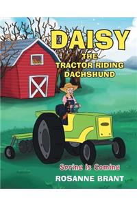 Daisy the Tractor Riding Dachshund