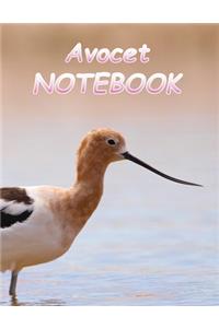 Avocet NOTEBOOK