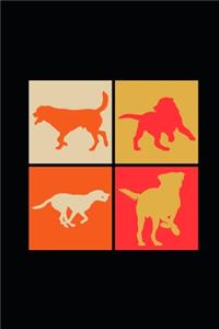 Labrador Retro Colors