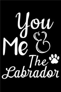 You Me And The Labrador
