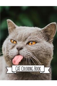 Cat Coloring Book