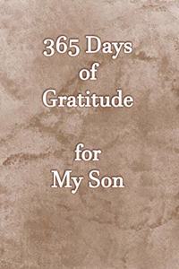 365 Days of Gratitude for My Son