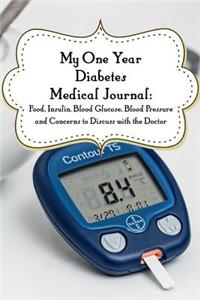 My One-Year Diabetes Medical Journal