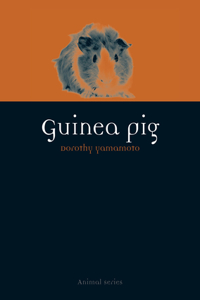 Guinea Pig