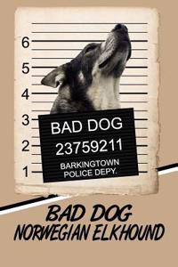 Bad Dog Norwegian Elkhound