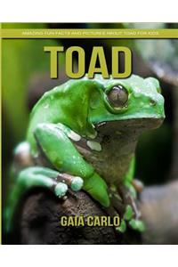Toad
