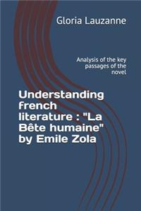 Understanding french literature