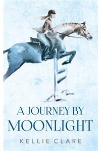 A Journey by Moonlight