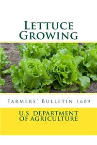 Lettuce Growing