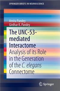 Unc-53-Mediated Interactome