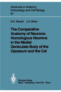 The Comparative Anatomy of Neurons: Homologous Neurons in the Medial Geniculate Body of the Opossum and the Cat