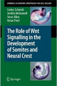 Role of Wnt Signalling in the Development of Somites and Neural Crest