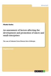 An assessment of factors affecting the development and promotion of micro and small enterprises