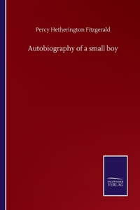 Autobiography of a small boy