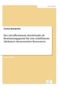 unvollkommene Kreditmarkt als Bestimmungsgrund für eine teileffiziente Allokation ökonomischer Ressourcen