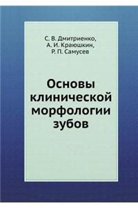 Основы клинической морфологии зубов