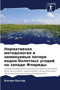 Нормативная методология и неминуемые пот