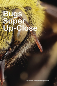 Bugs Super Up-Close