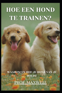 Hoe Een Hond Te Trainen?