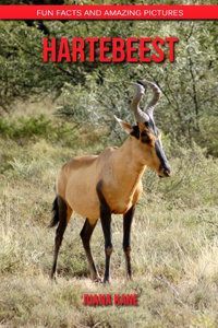 Hartebeest